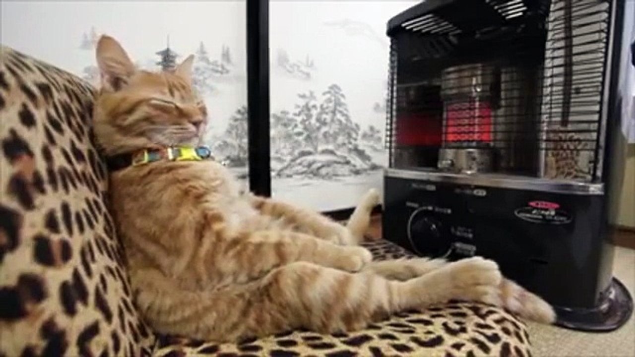 How Good Is a Heater On A Cold Day? Just Ask This Guy..