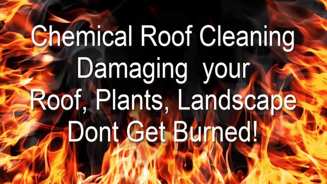CHEMICAL ROOF CLEANING PALM BEACH 561-502-ROOF