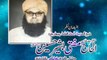 Khatum-e-Chelum Sahabzada Allama Nasir Mehmood Farooqi (R A)
