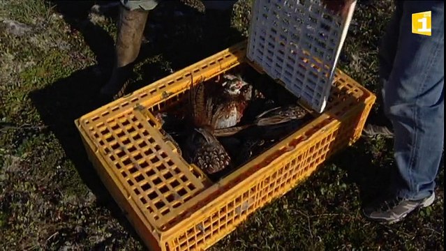 Bilan en demi-teinte pour la saison de chasse