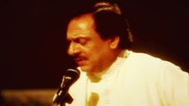 Ghulam Ali - Bheed Mein Ek Ajnabi Ka Saamna Acha Laga