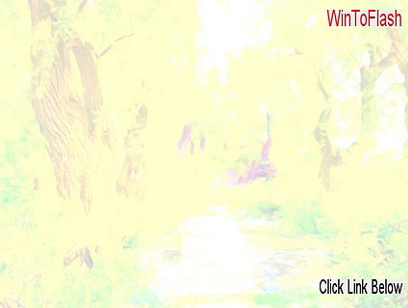Wintoflash