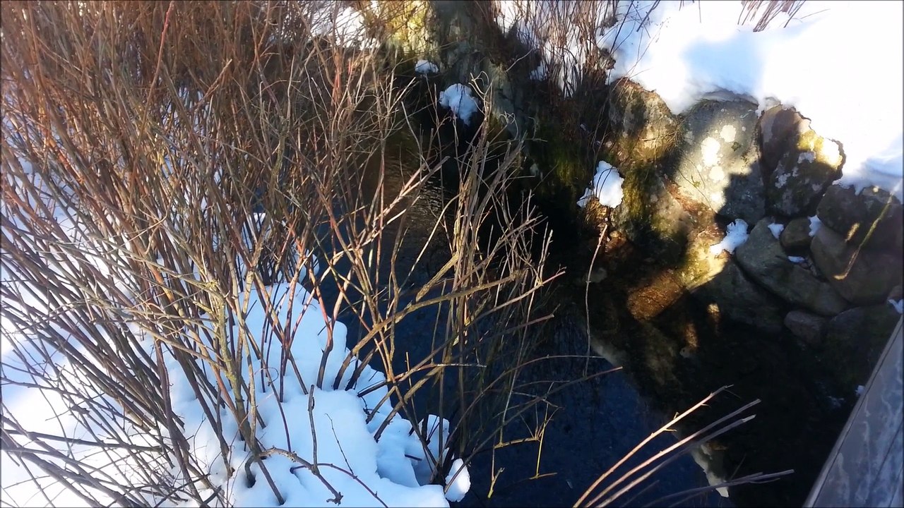 11 fevrier 2015 lac de gerardmer