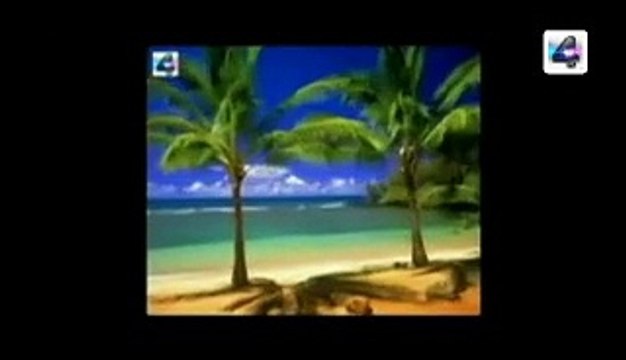 la pulga y el buey fabula Moraleja y cuento para grandes y chicos infantil niños relatos histor