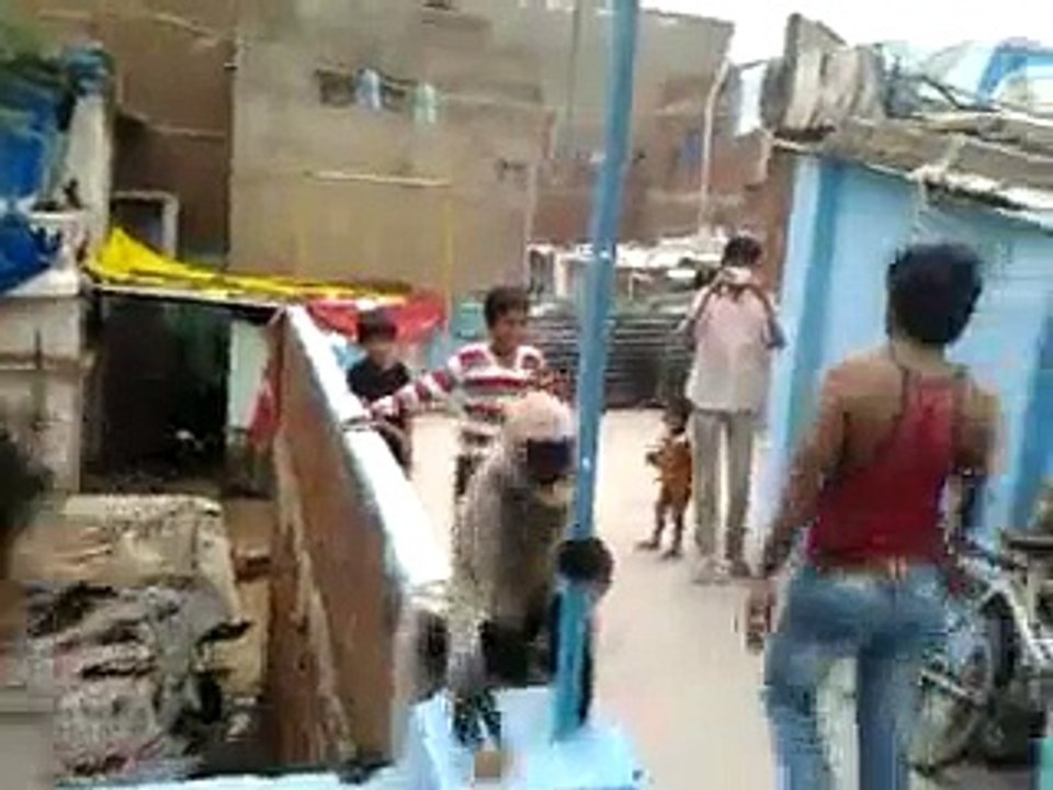 monkey