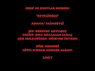 RUHİ SU DOSTLAR KOROSU "DEVELİOĞLU" SOLİST: ŞULE KOCAMAN SARAÇ (2007)