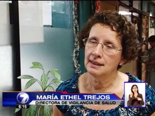 Salud tiene en la mira un mosquito que podría transmitir el dengue