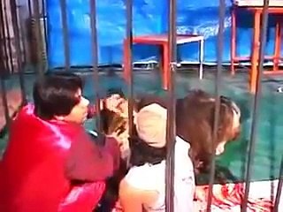 فيديو صادم لحظة افتراس أسد لمدربه بشكل مروع