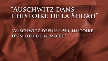 Enseigner la Shoah : "Auschwitz depuis 1945, histoire d'un lieu de mémoire"