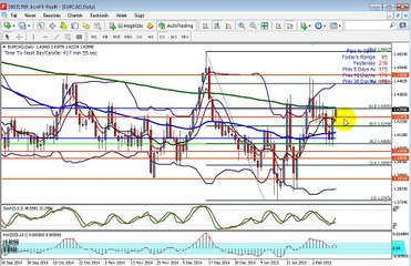 Frissítés a február 9-én kezdődő hétre