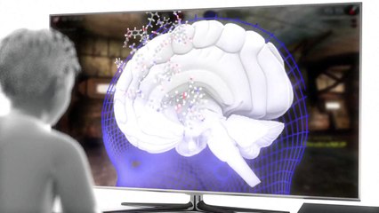 Le cerveau des enfants du numérique