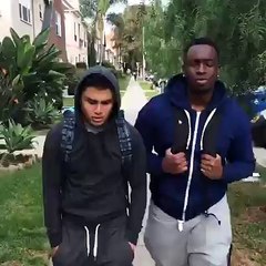 When you mess up with the wrong dog