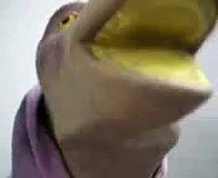 Musharraf funny speech Video Clip MastiBox Best Funny Clips Best Clips Amaizing videos Amaizing Clips Funny videos Funny Animal Videos