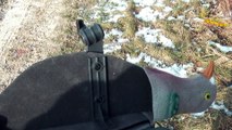 Flotteur 360 pour la chasse à la palombe pigeon ramier