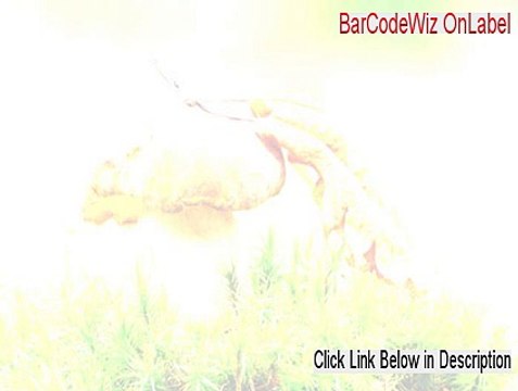BarCodeWiz OnLabel Key Gen (Download Now 2015)