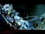 Dj Harlequin feat Project Blutengel - Gloomy shadows (Official Video)