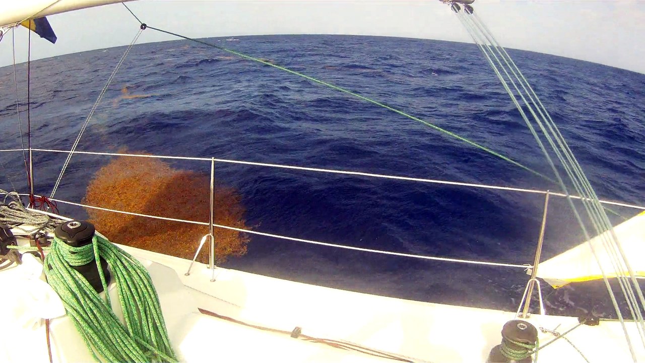 Transquadra 2014-2015 - Sun Fast 3600 Grassi Bateaux - Slalom dans les sargasses (1)