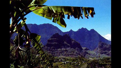 cafrine mi aim a ou  sega love