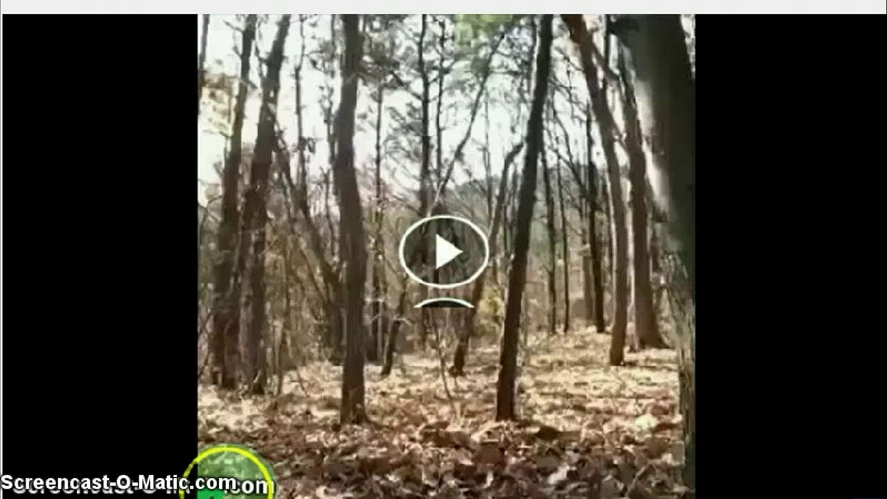 Fantasma a plena luz del día