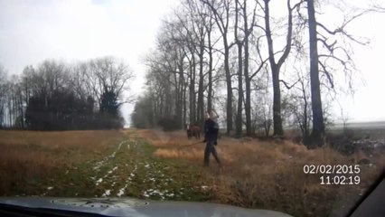 Runaway Cow Tries To Attack Cop In Czech Republic!