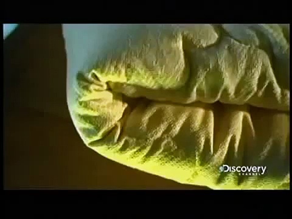 How its made   Adjustable Beds