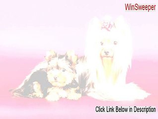 WinSweeper Cracked - Download Here (2015)