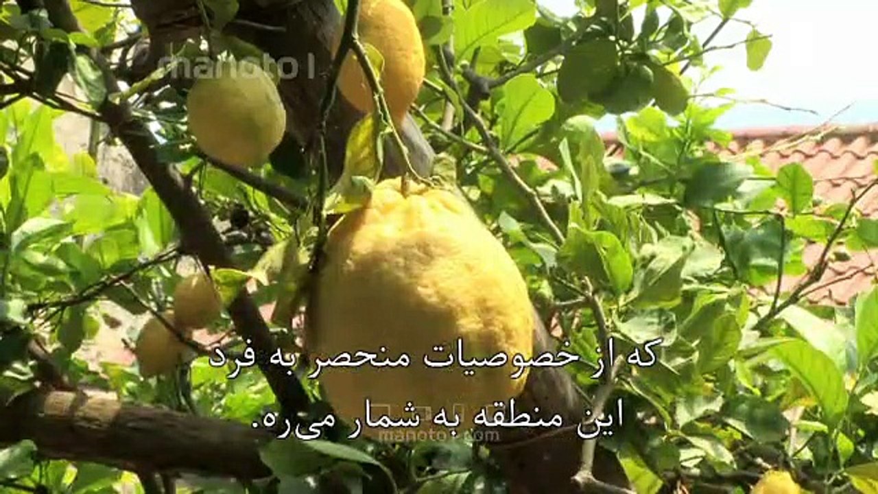 جینو و آشپزی ایتالیایی - قسمت ۱