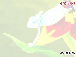 FLAC to MP3 Serial - Download Now (2015)