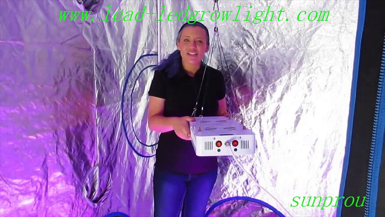 indoor led plant lighting lamp for plant lighting