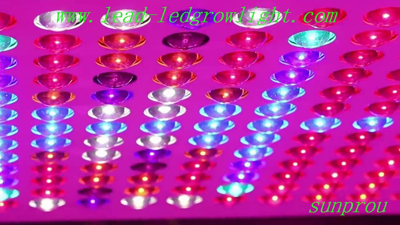 good quality led plant lighting lamp with wholesale price