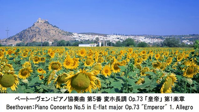 楽しい愉快な気分になれるクラシック名曲集・Pleasant Feeling Classical Music Collection（長時間作業用BGM)