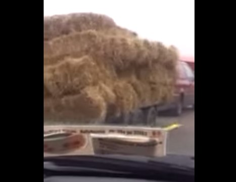 An Unusual Film Trailer for 50 Bales of Hay