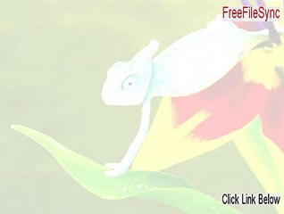 FreeFileSync Keygen (Download Now)