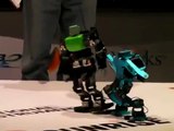 ROBO-ONE Humanoid Robots Final Fight - Amazing!!!