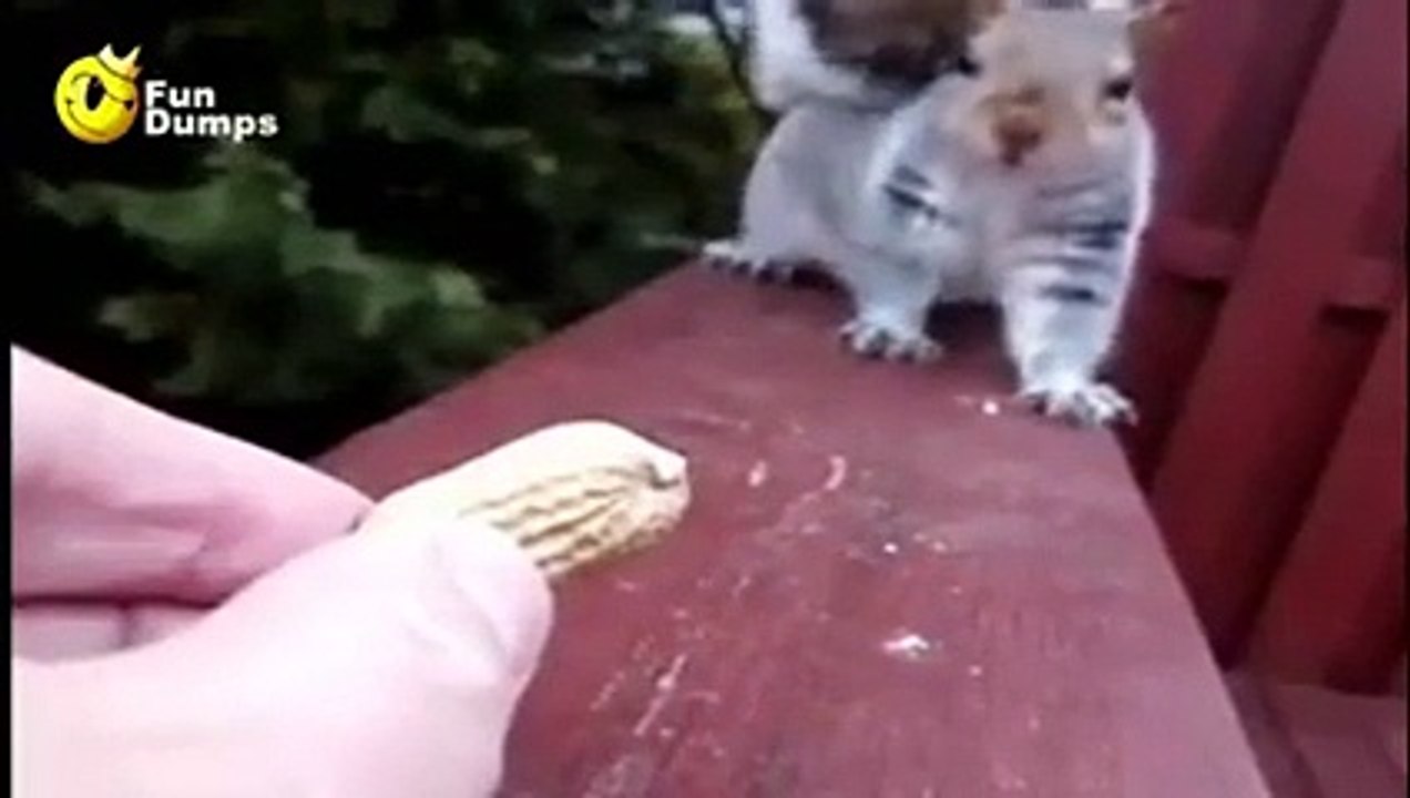 Should I Take It???More Amazing Article , Please Visit http://buzzlife.com.tw
