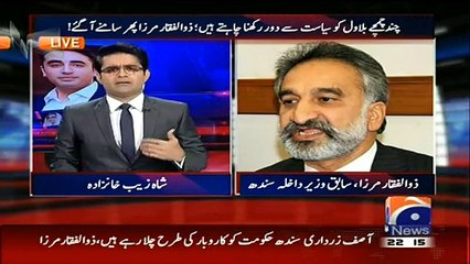 Zulfiqar Mirza About Asif Zardari
