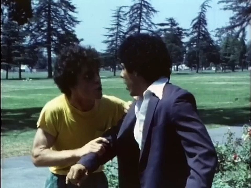The Visitant (1981)