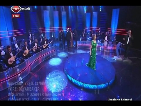 Ayşe TAŞ-Bahçada yeşil çınar Şef:Ömer Hayri UZUN