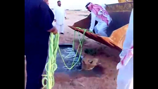 Best funny vine videos stupid rescue Compilation 2013 FUNNY VIDEOS ACCIDENTS jjust funny laughs