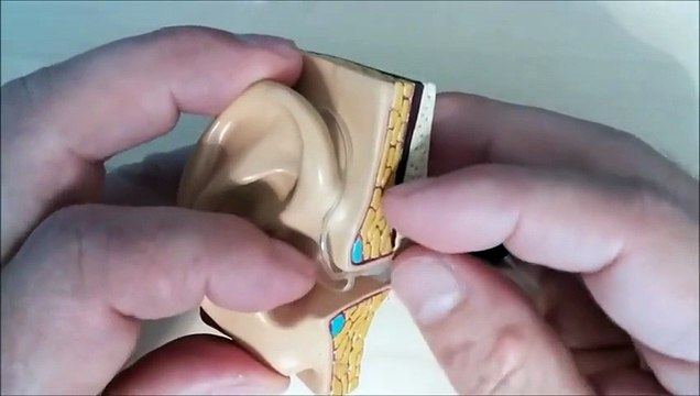 Hearing Central - Proper Fitting of Melody Hearing Aids