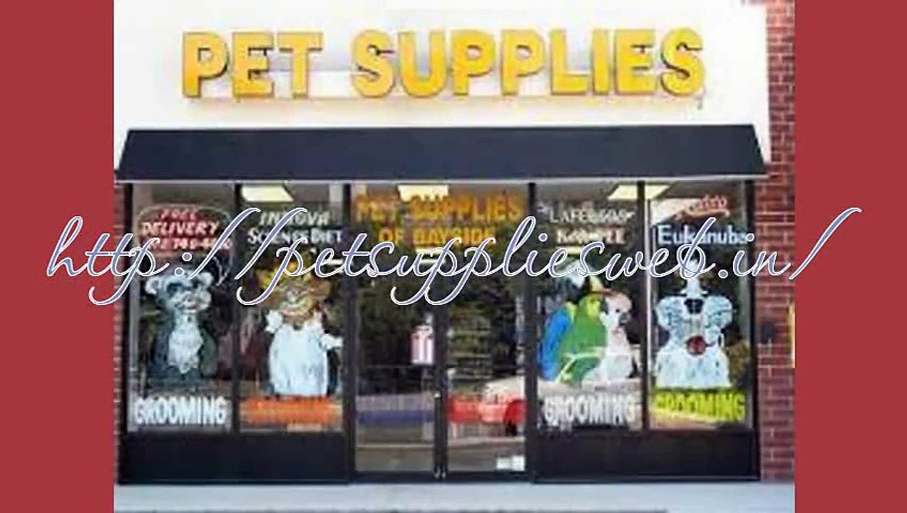 Online Pet Supplies