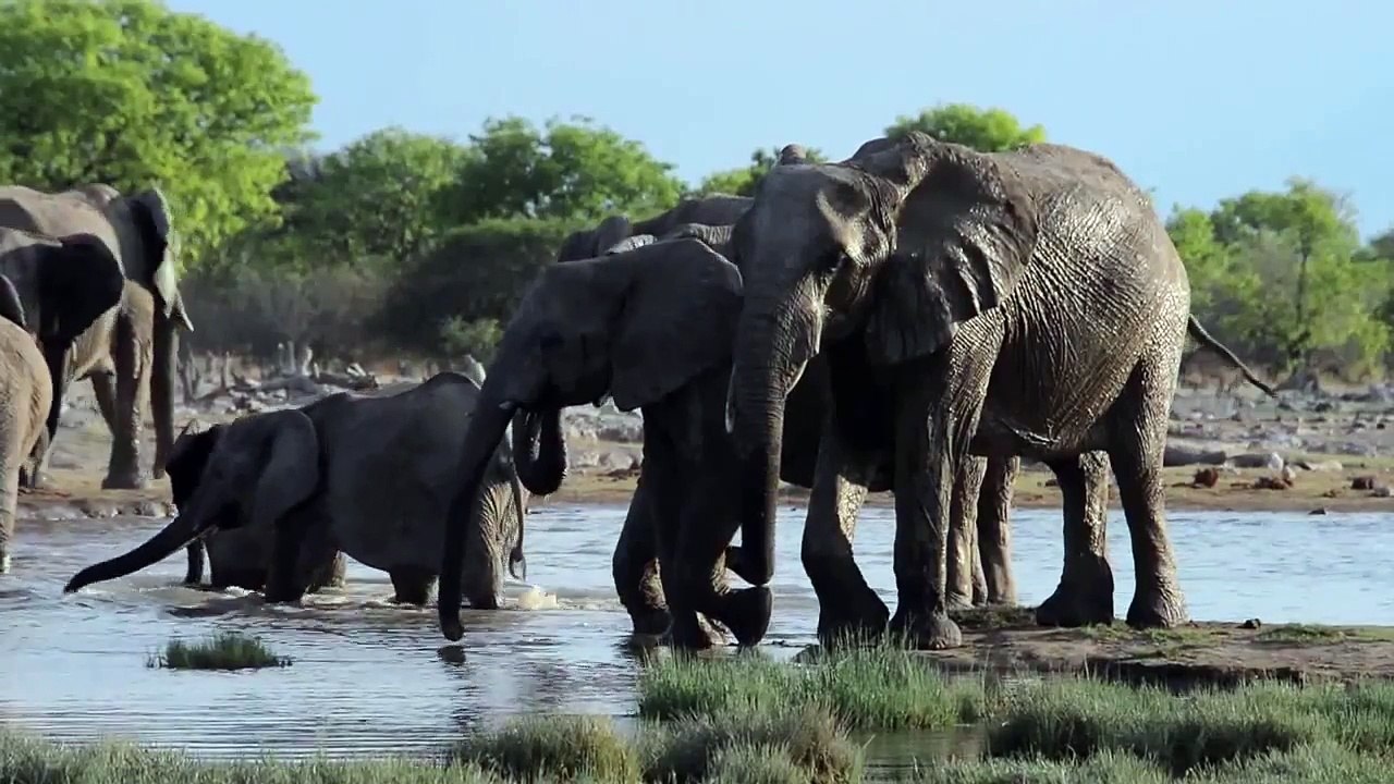 East to West across Etosha National Park, Namibia   www natural variation com