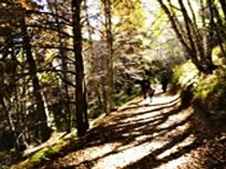 مزمور .. رفعت عيني الى الجبال