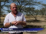 Au Kenya, la survie du rhinocéros blanc du Nord ne dépend plus que de la science (2)
