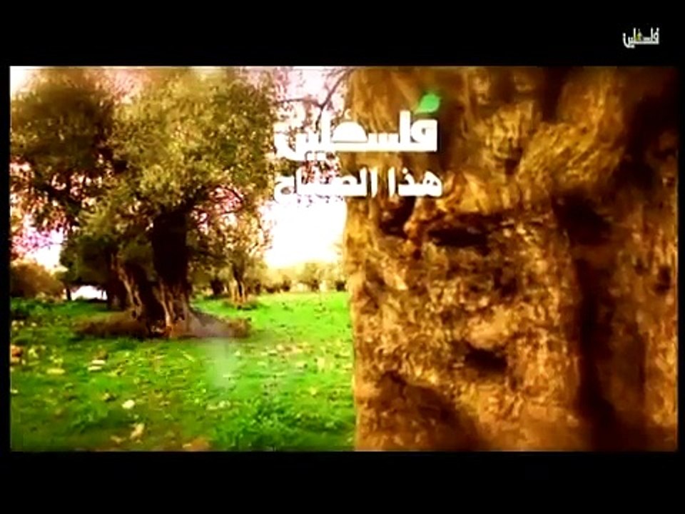 فلسطين الصباح الخميس 12- ج1