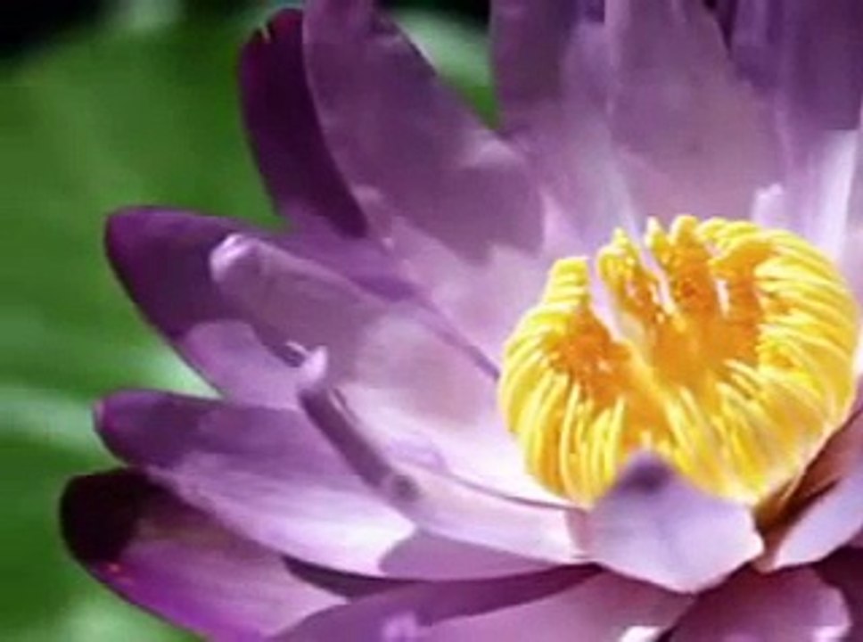 موسيقى هادئة جيتار اكثر من رائعة Best Romantic Guitar ever