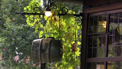 Mühlengrund Braugasthaus Wienhausen Imagefilm