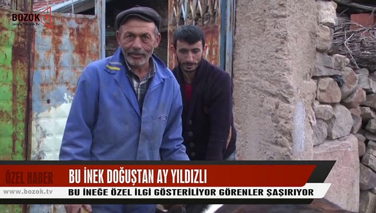 AY YILDIZLI İNEĞİ GÖRENLER ŞAŞKINA DÖNÜYOR