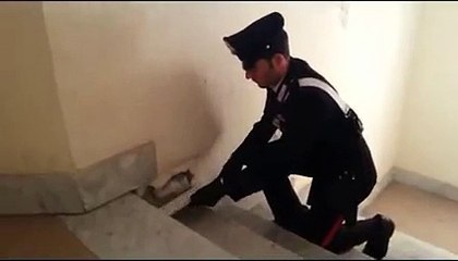 Melito (NA) - Droga nascosta dietro il battiscopa (11.02.15)