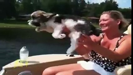 lol ho gya videosjet.com